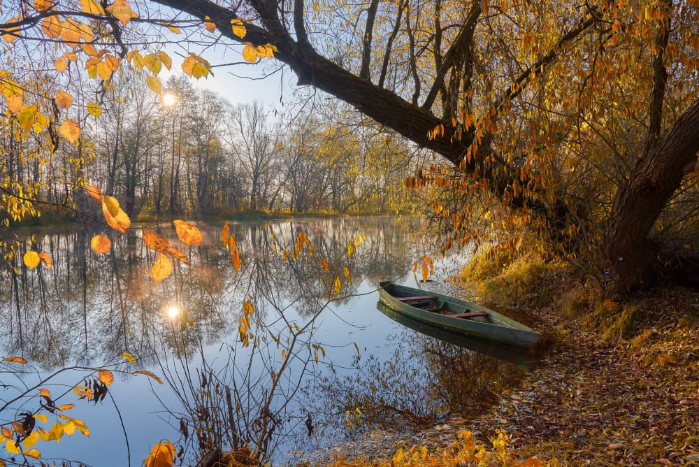 Golden Autumn River Boat by Andrii Kazun — canvas wall art