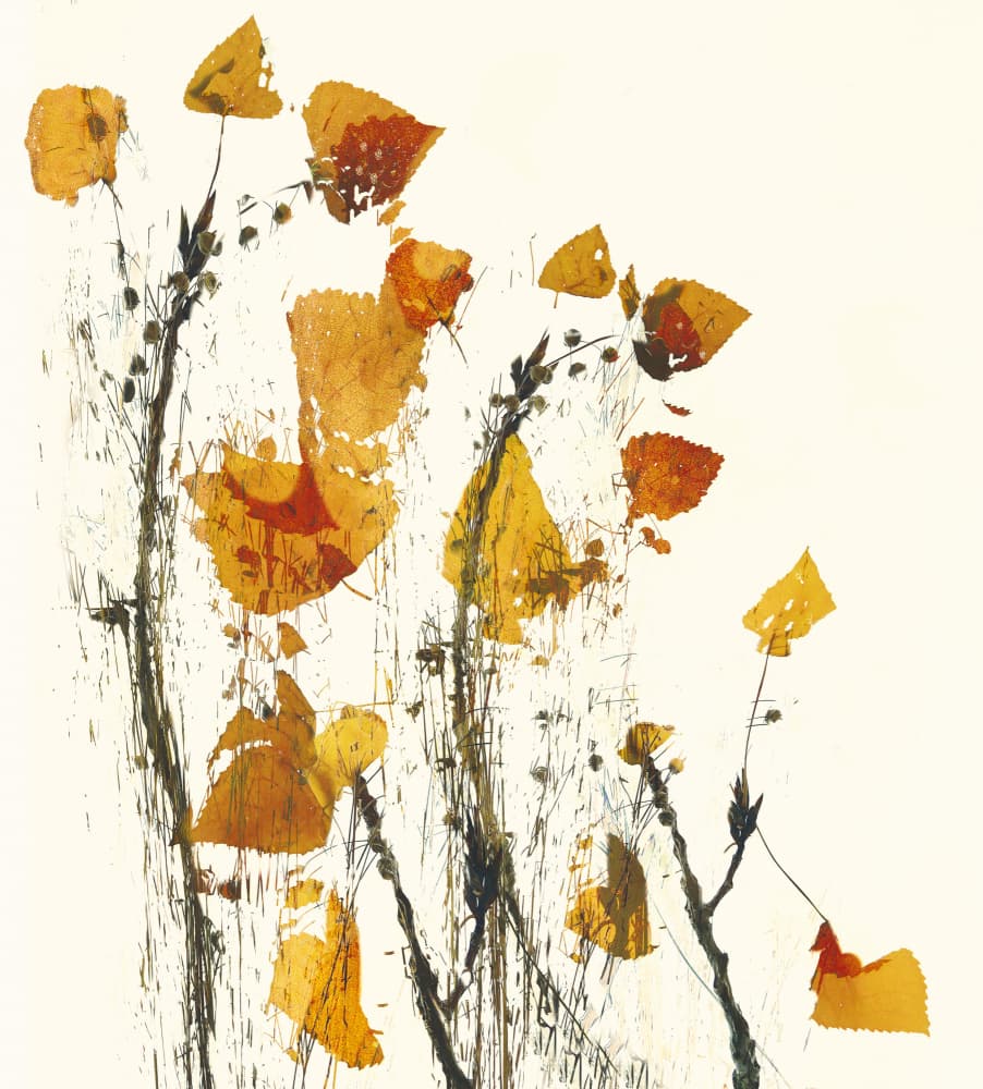 Leaves still life by Nel Talen — canvas wall art