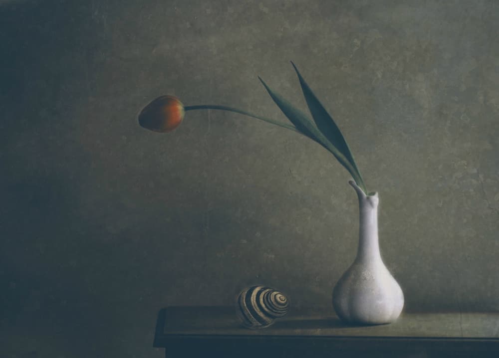 Moody Tulip Still Life by Delphine Devos — canvas wall art