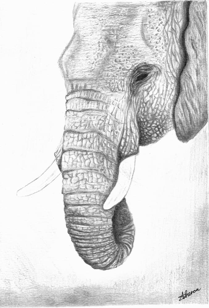 Majestic Elephant Profile by Sunet Theron — canvas wall art