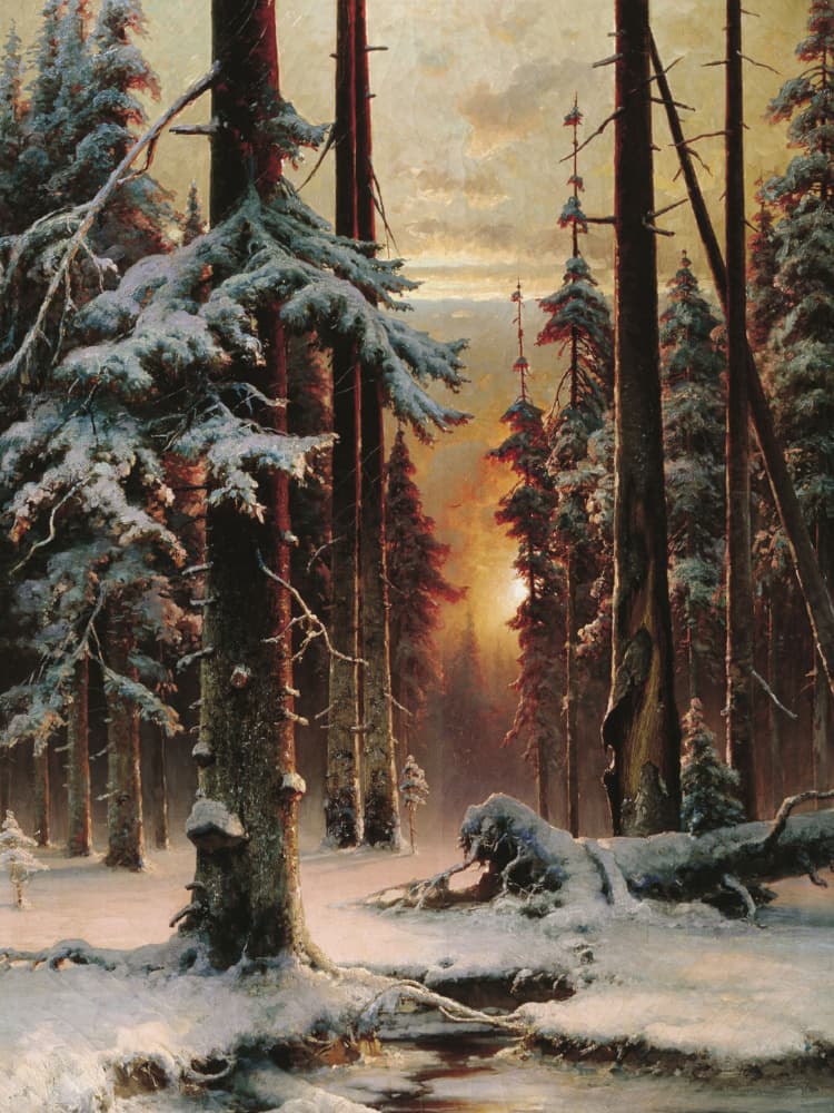 Snowy Forest Sunset by Jolly and Dash — canvas wall art