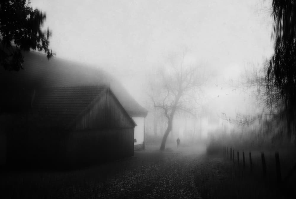 Mysterious Foggy Path by Adam Dauria ☂ — canvas wall art