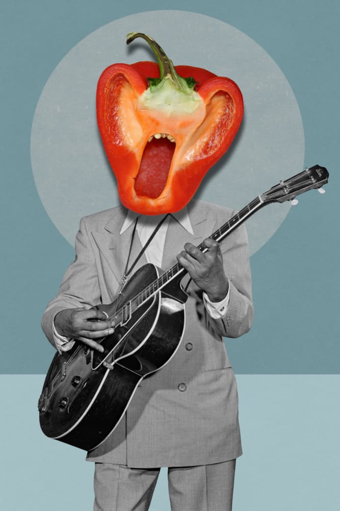 Singing Pepper Guitarist by Marja van den Hurk — canvas wall art