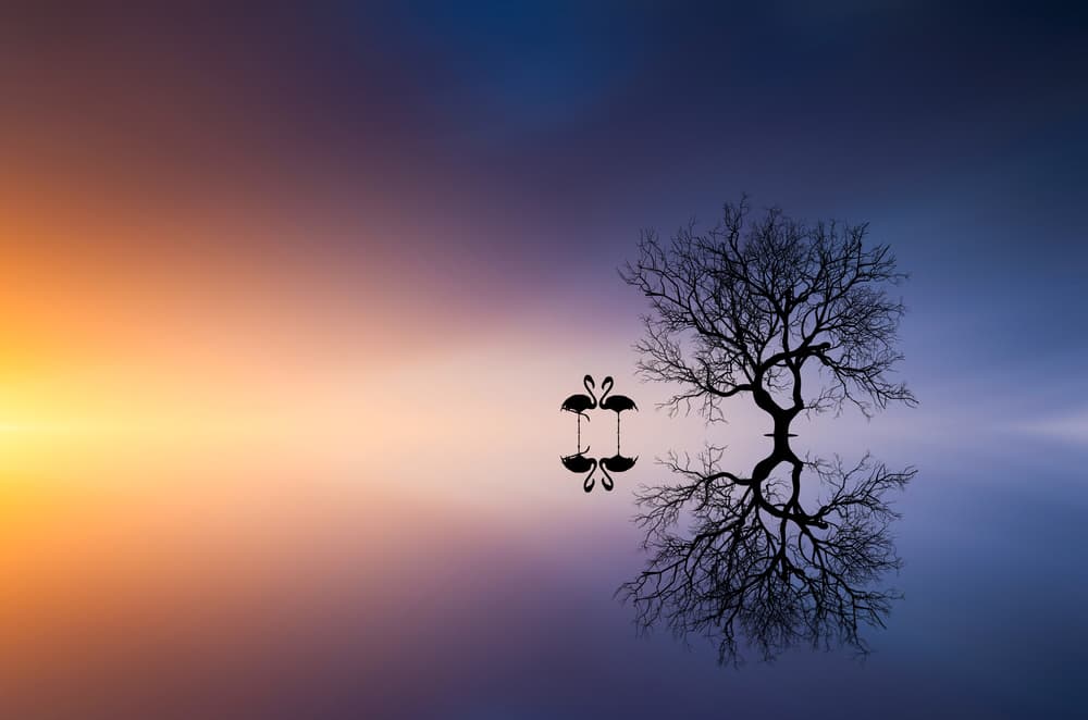 Romantic Sunset Flamingos by Bess Hamiti — canvas wall art
