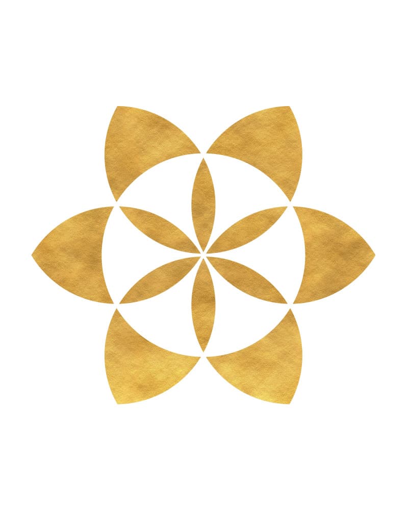 Sacred Golden Bloom by Emiliano Deificus — canvas wall art