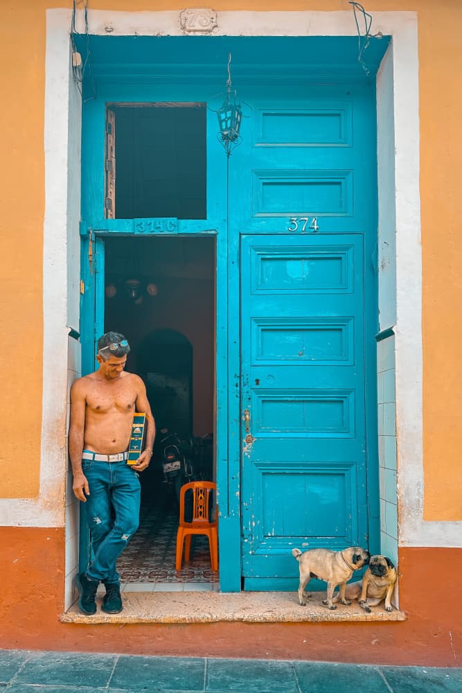 Blue Door Pugs by Irene Wu — canvas wall art