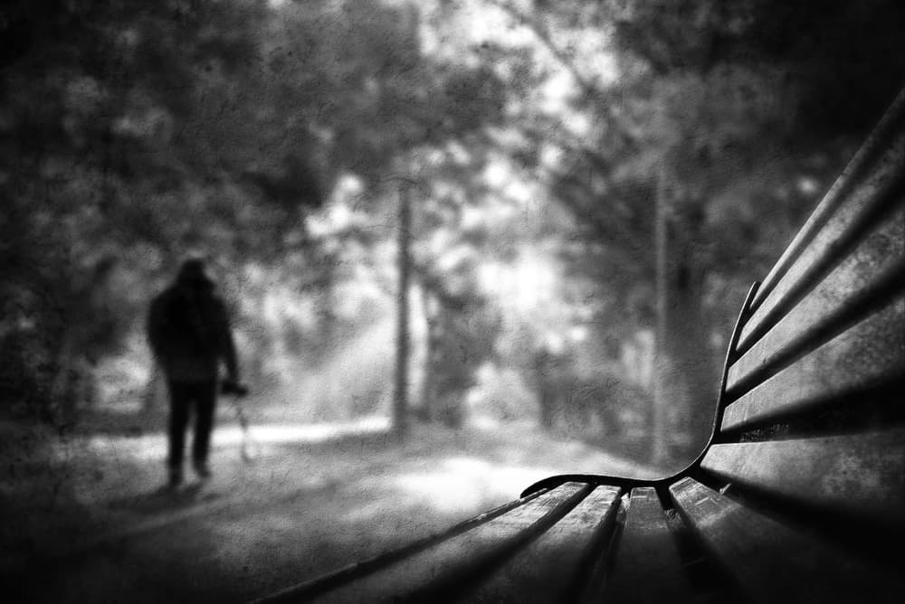 Solitary Park Bench by Nicodemo Quaglia — canvas wall art
