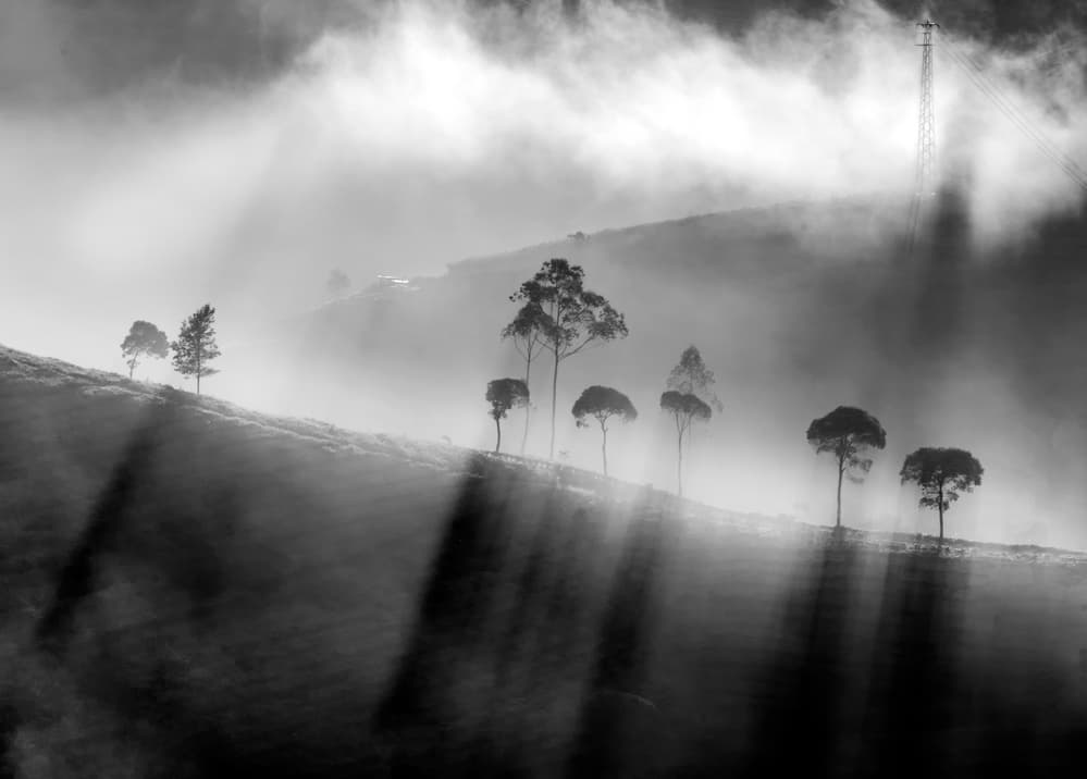 Sun Rays Through Mist by Antonyus Bunjamin (Abe) — canvas wall art