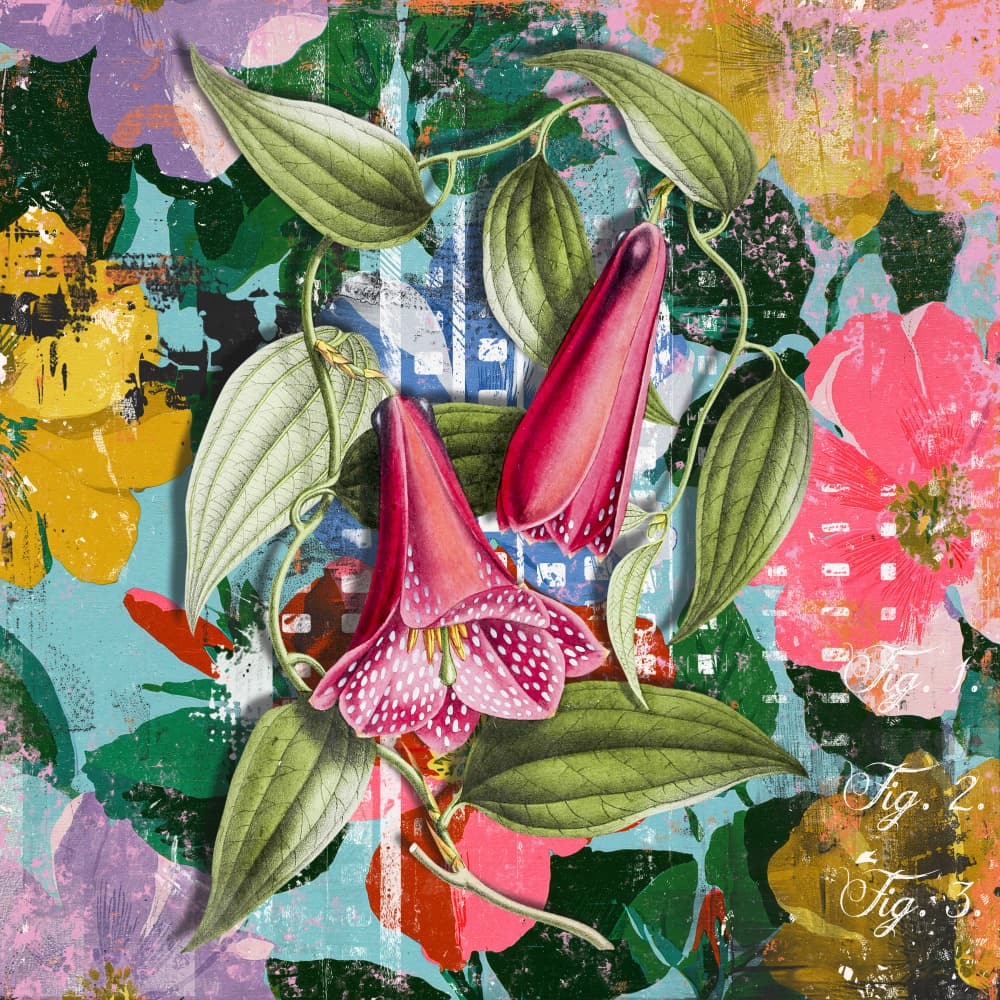Colourful Nature by Marja van den Hurk — canvas wall art