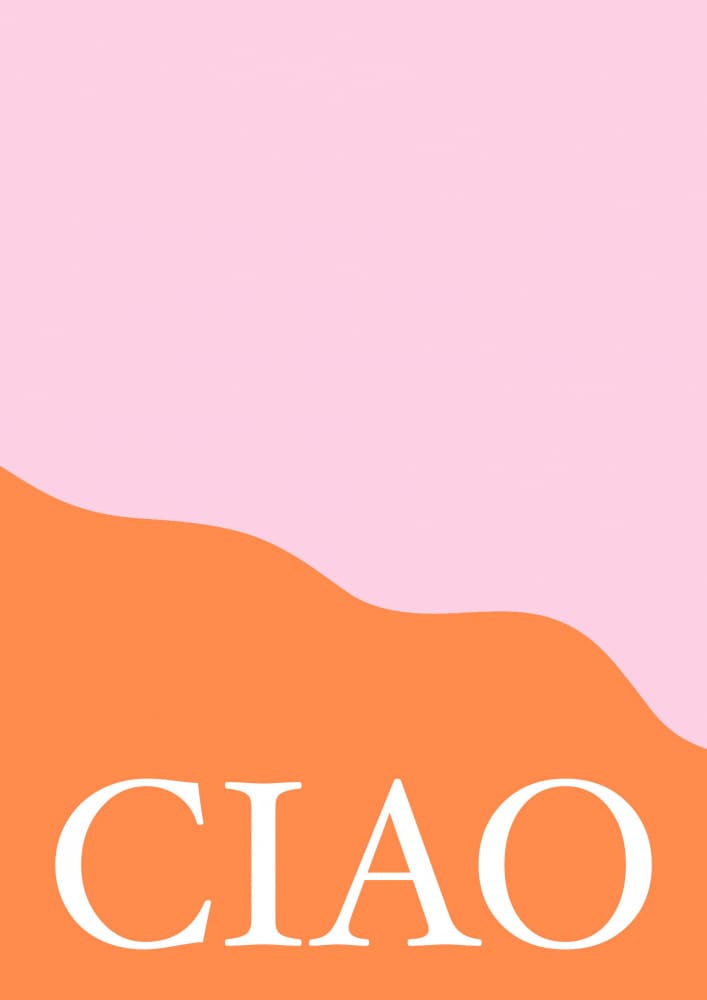Ciao Pink Orange by Talitha McQueen — canvas wall art