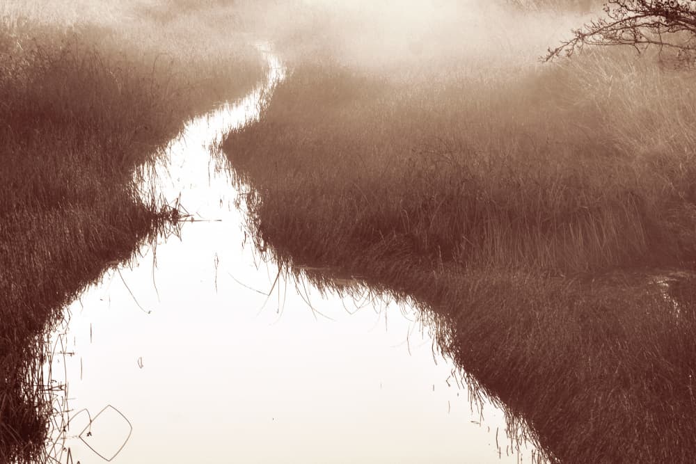 Misty River Path by Christina Sillen — canvas wall art