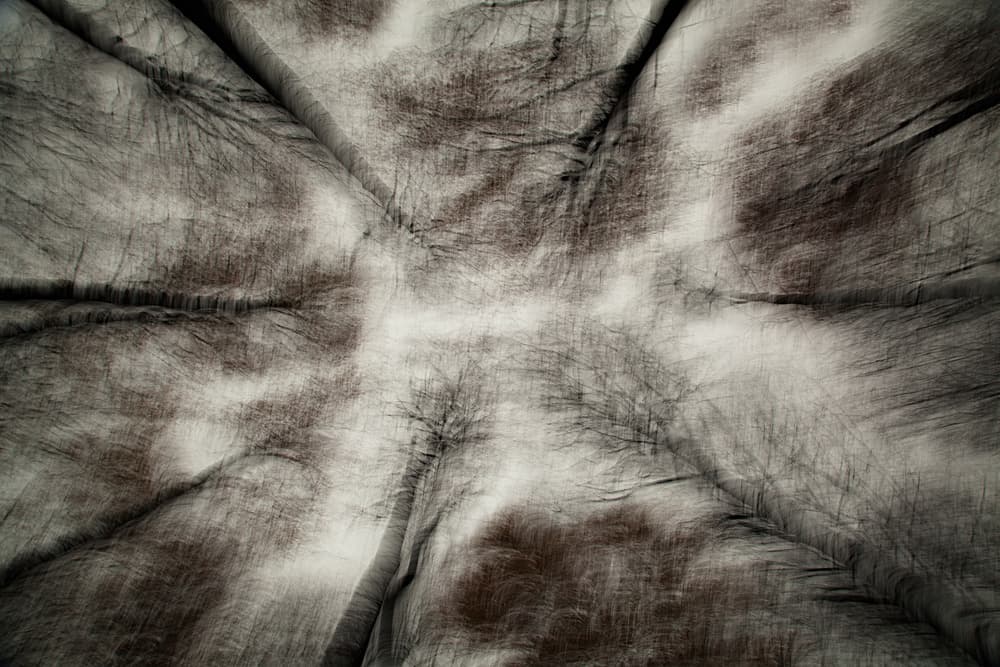 The First Autumn Storm by Gustav Davidsson — canvas wall art