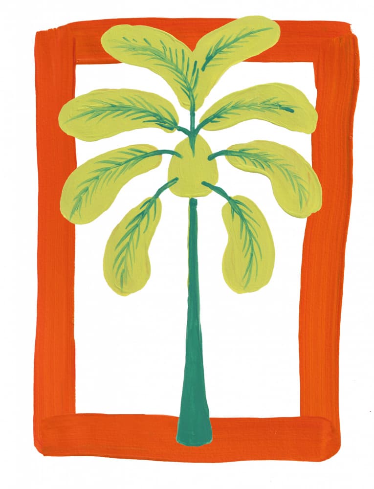 Vibrant Framed Tropical Palm by Bronwyn Baker — canvas wall art