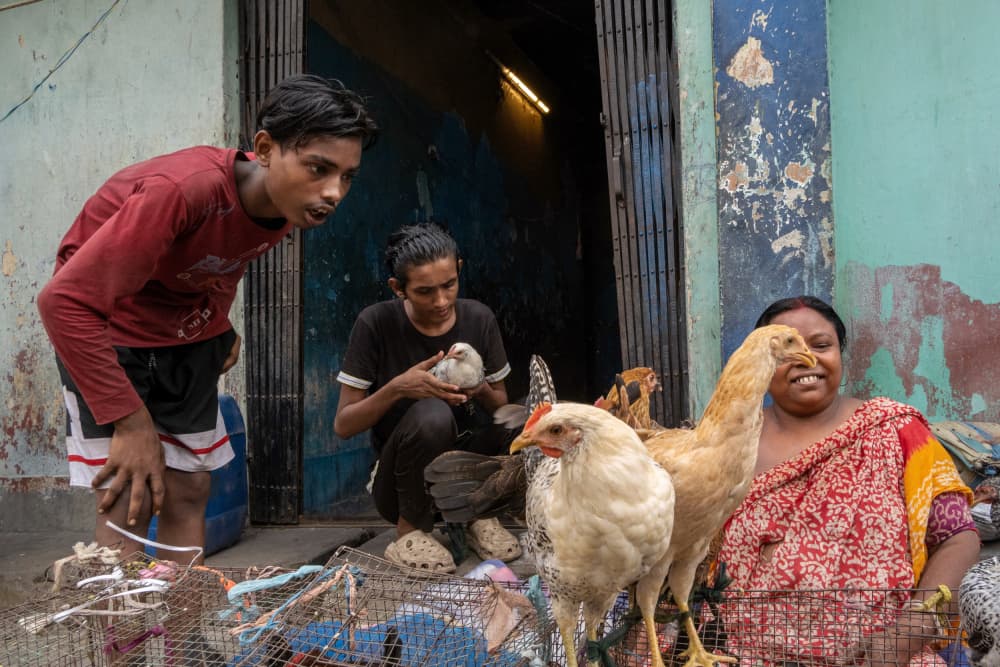 Street Market Poultry by Kuntal Biswas — canvas wall art