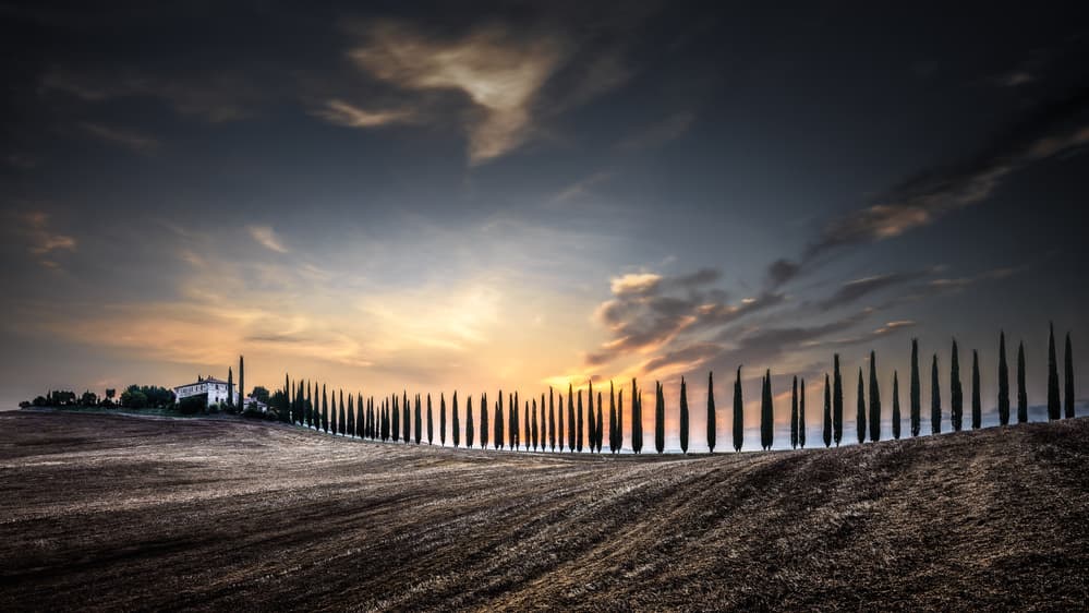 Tuscan Cypress Sunset by Oscar Lopez — canvas wall art