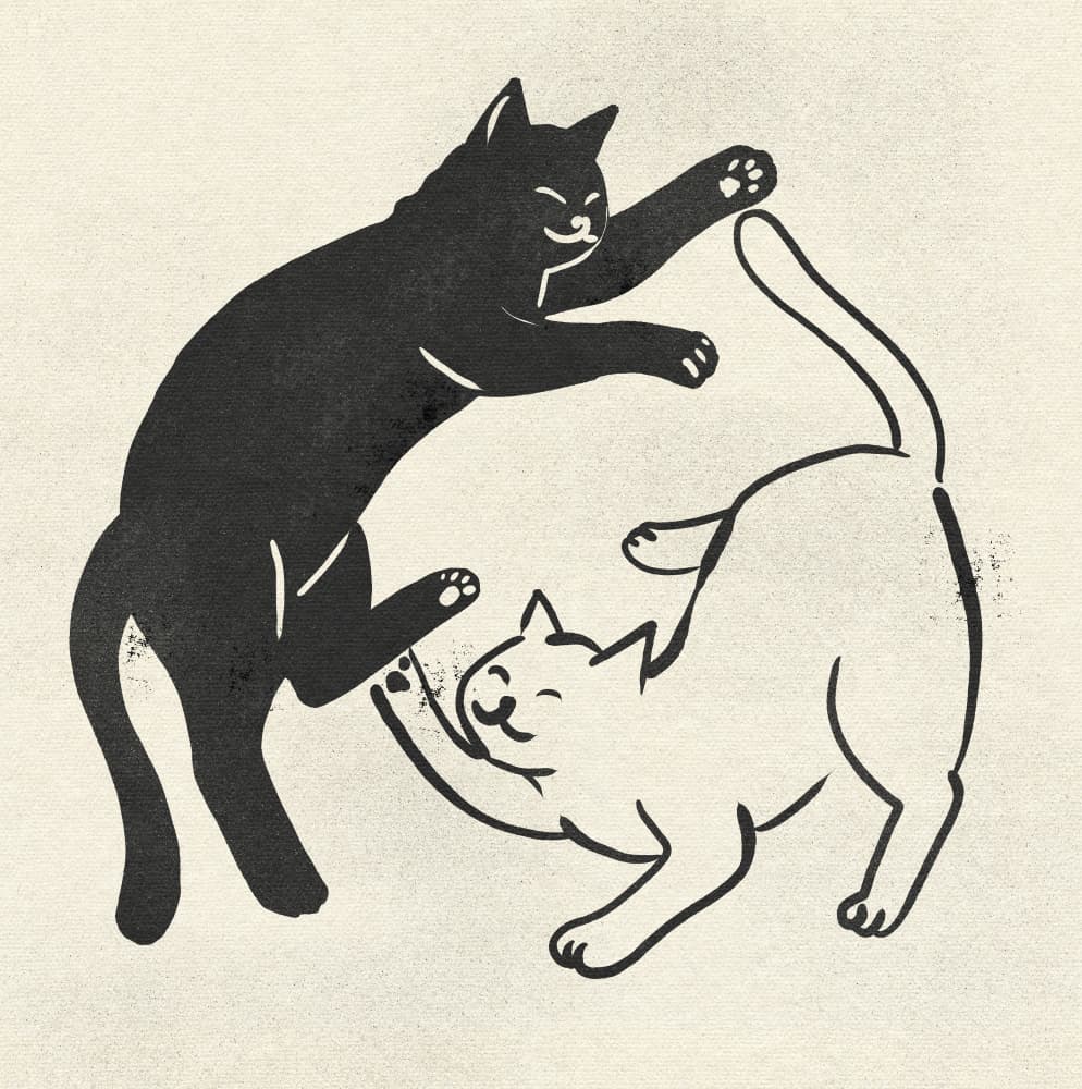 Yin Yang Cats by Nicholas — canvas wall art
