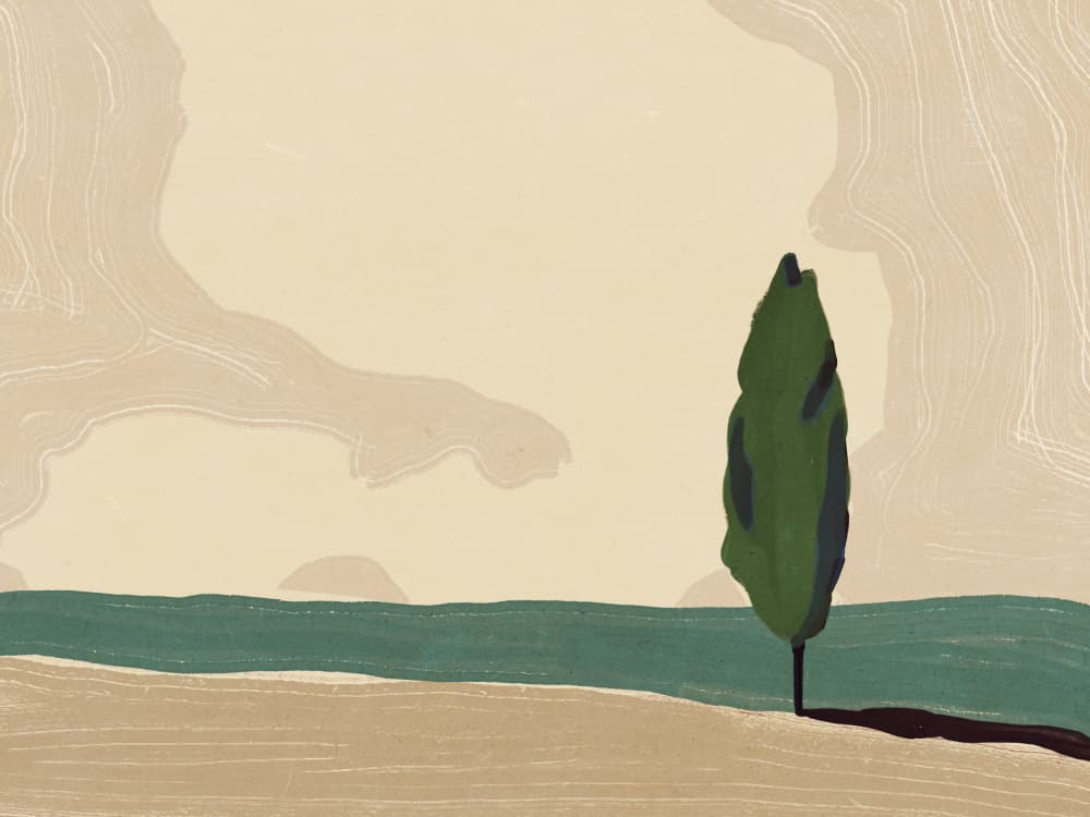 Lone Tree Landscape by Little Dean — canvas wall art