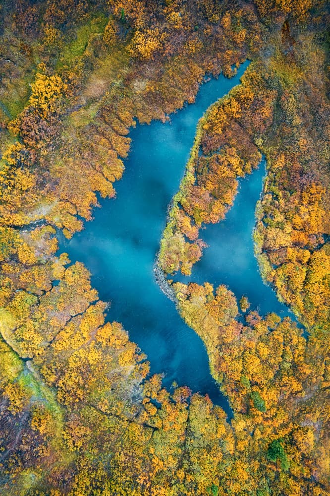 Golden Autumn Waters by Mei Xu — canvas wall art