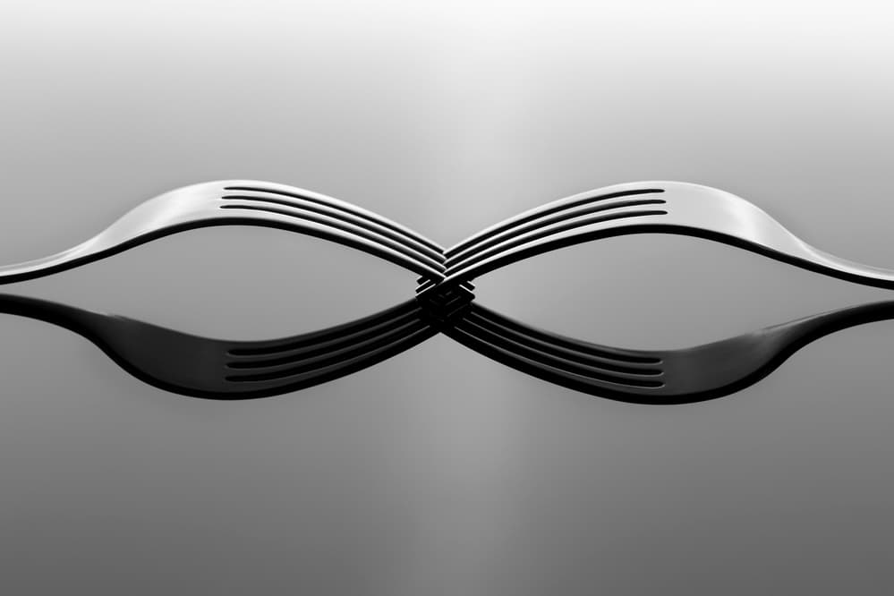 Intertwined Fork Reflection by Howard Ashton-Jones — canvas wall art