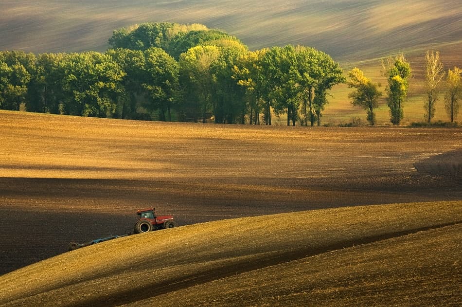 Tractor in Golden Fields by Krzysztof Browko — canvas wall art