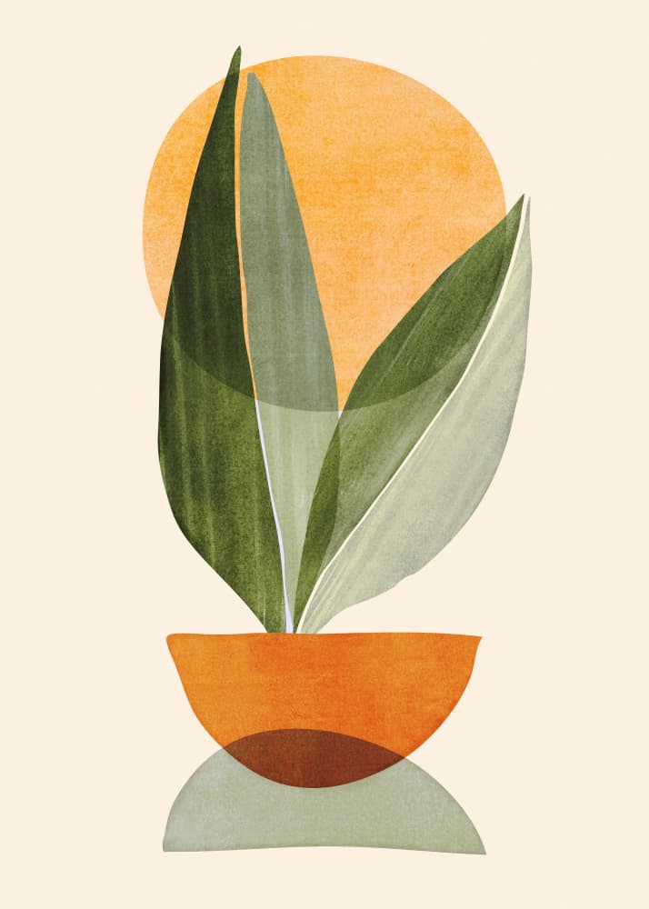 Nature Stack 2 by Kristian Gallagher — canvas wall art