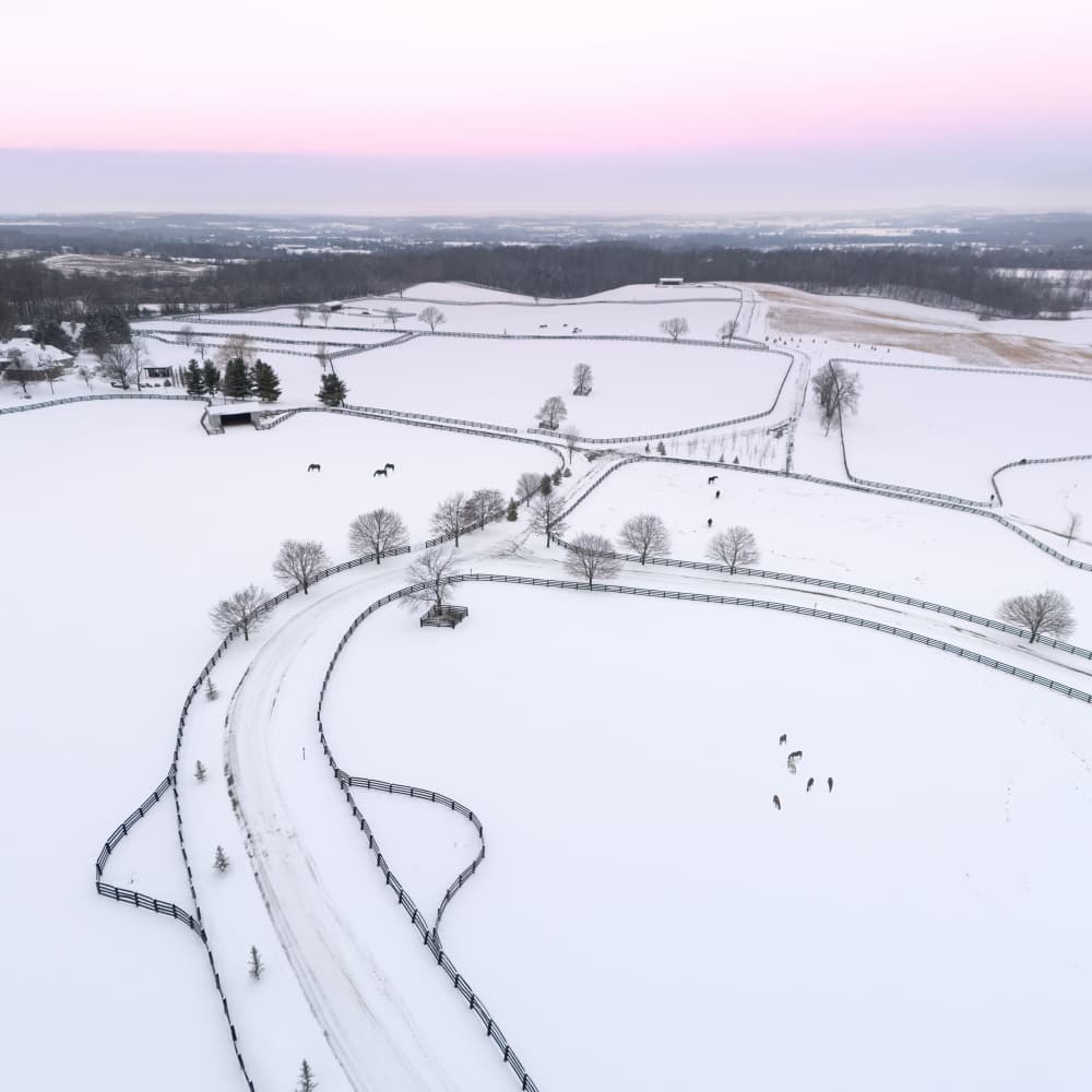 Winter Farm Landscape by Larry Deng APA — canvas wall art