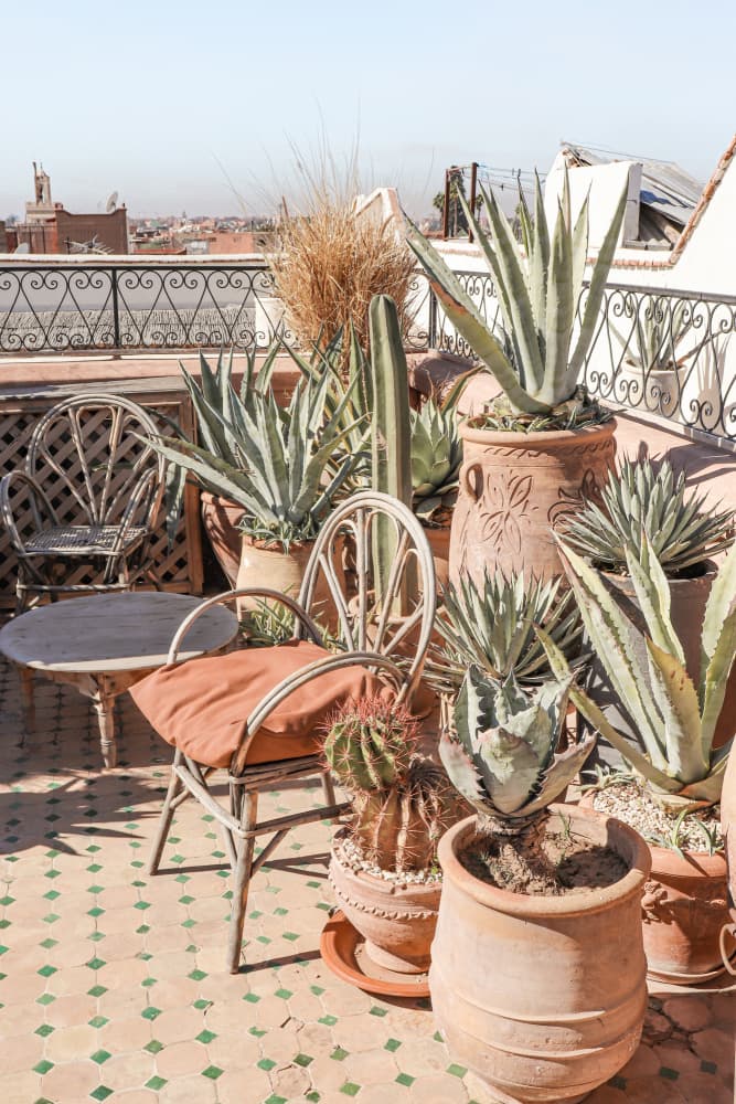 Moroccan Cactus Patio by Henrike Schenk — canvas wall art