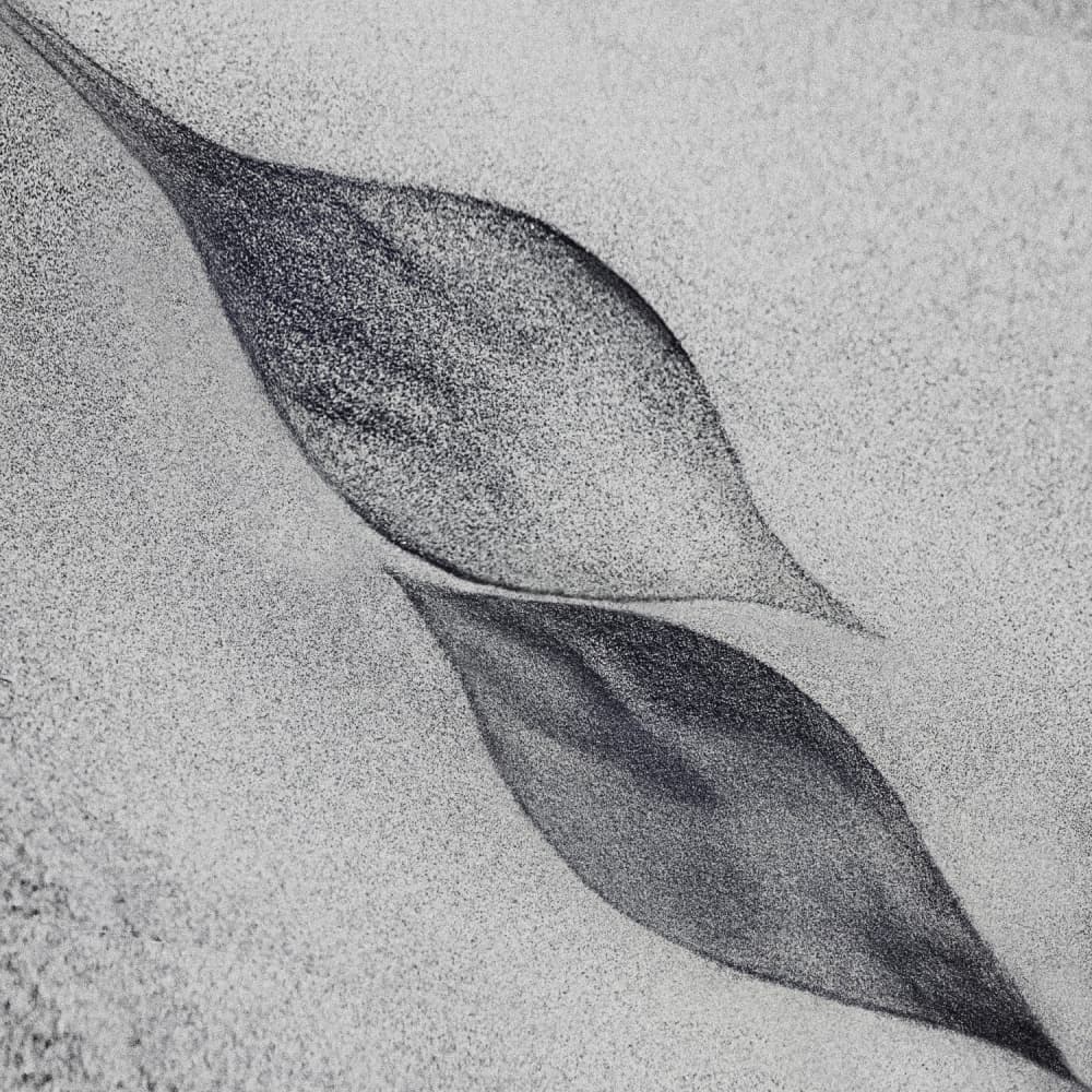 Grey Organic Leaves by Piet Flour — canvas wall art