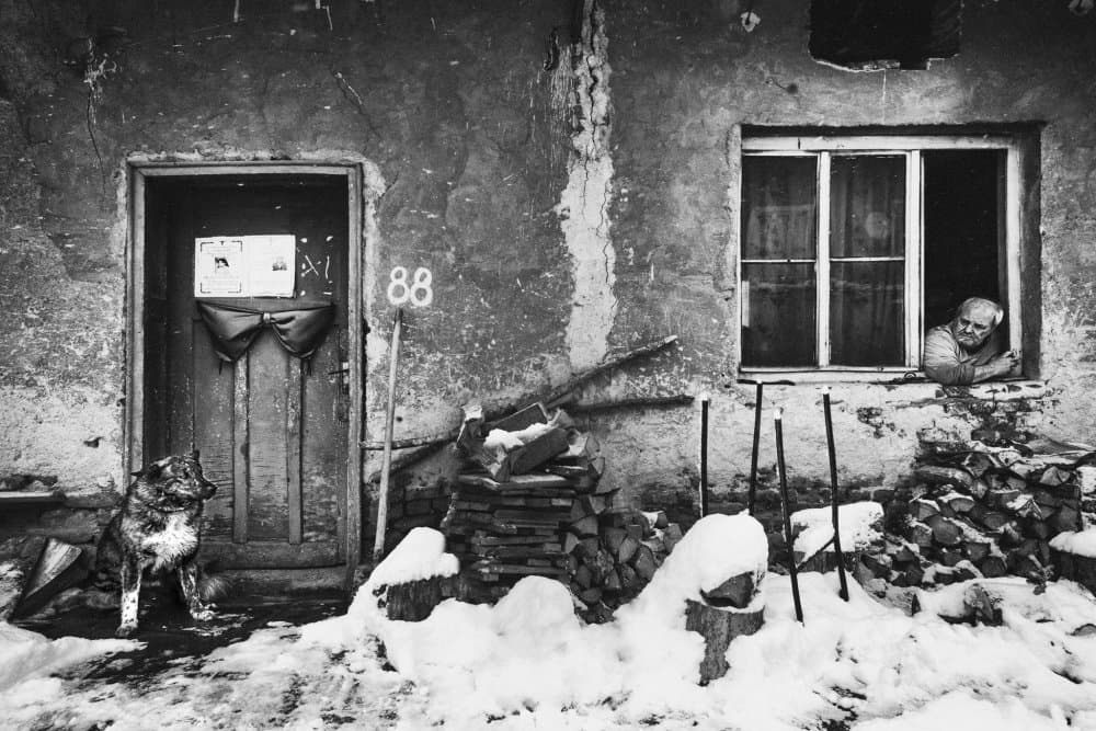 Old House Winter Dog by Todor Tanev — canvas wall art