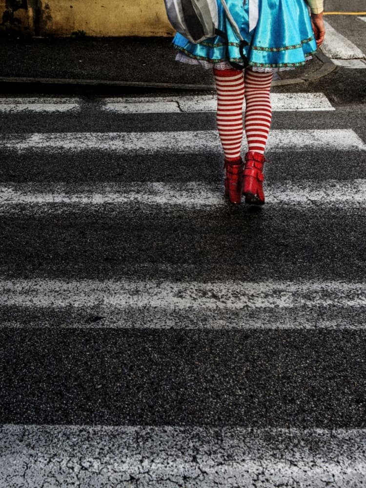 Whimsical Striped Legs Walk by Massimo Della Latta — canvas wall art