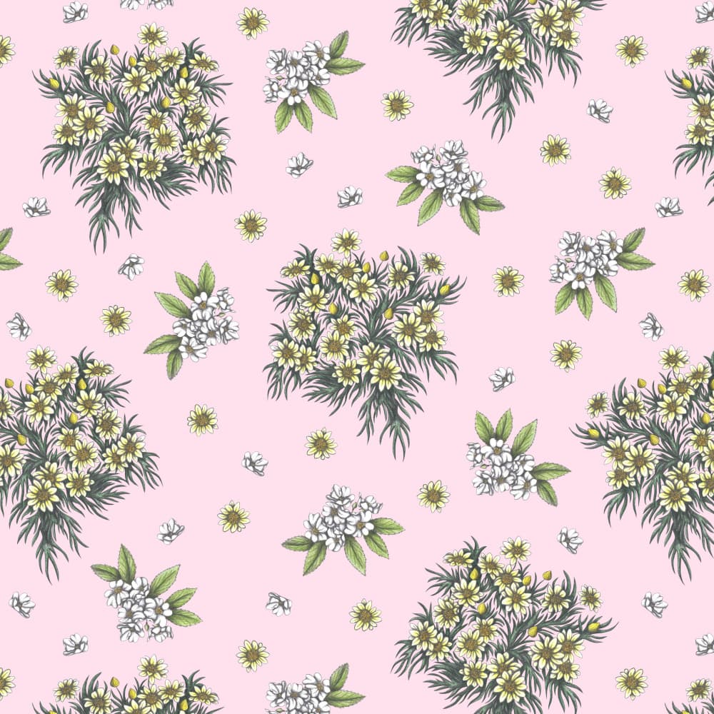 Sweet Spring Blooms by Cecilia Battaini — canvas wall art