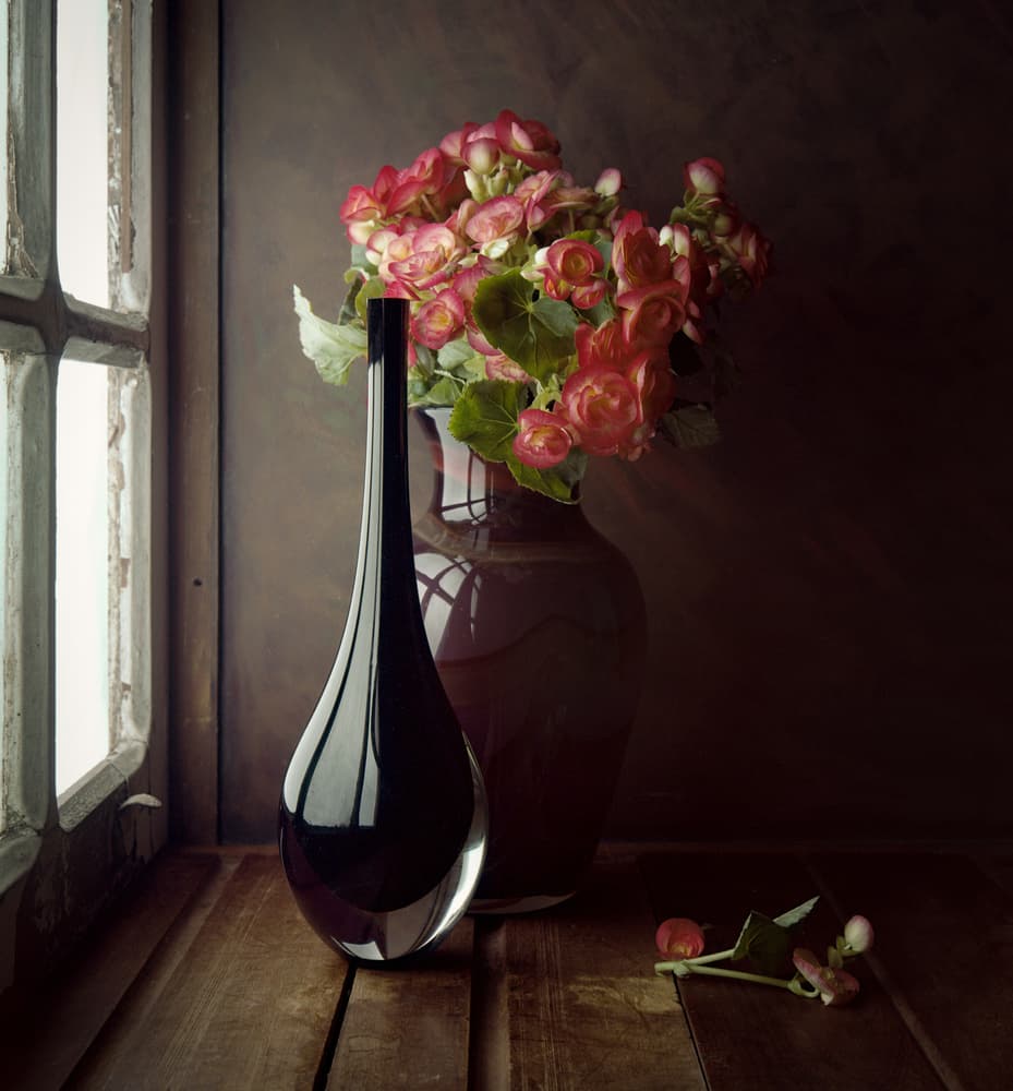 Pink Flowers Window Light by Luiz Laercio — canvas wall art