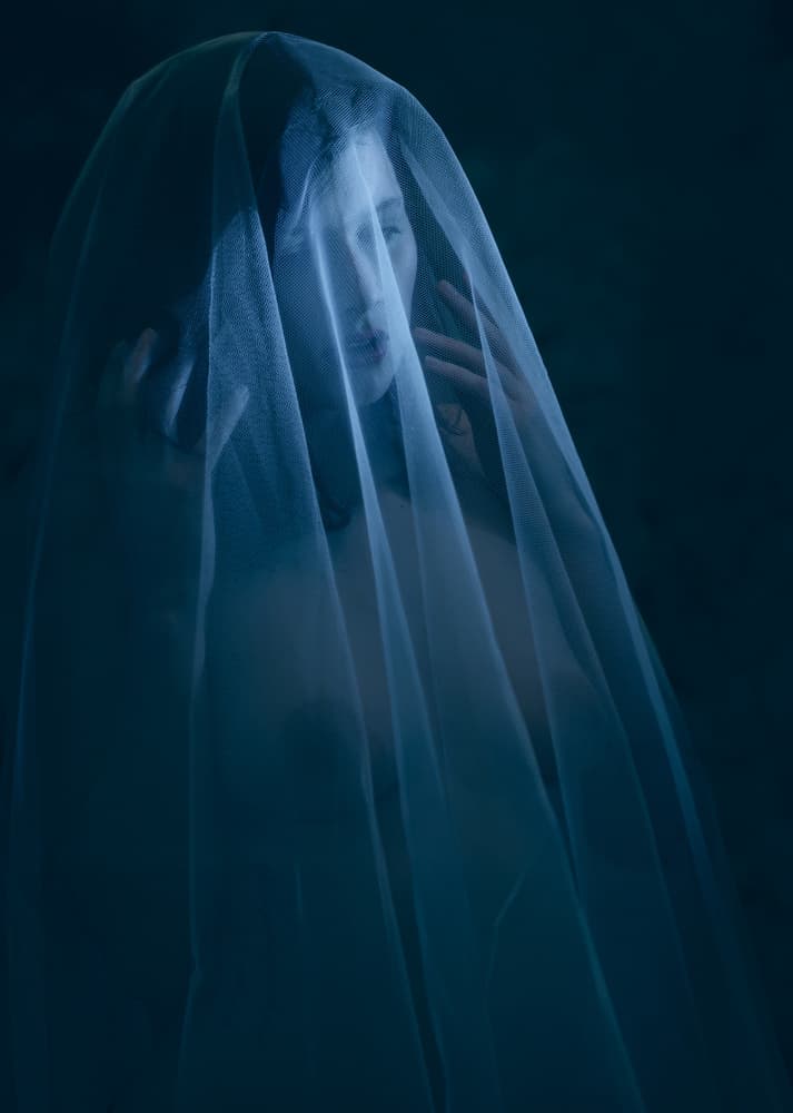 Mysterious Veiled Woman by Colin Dixon — canvas wall art