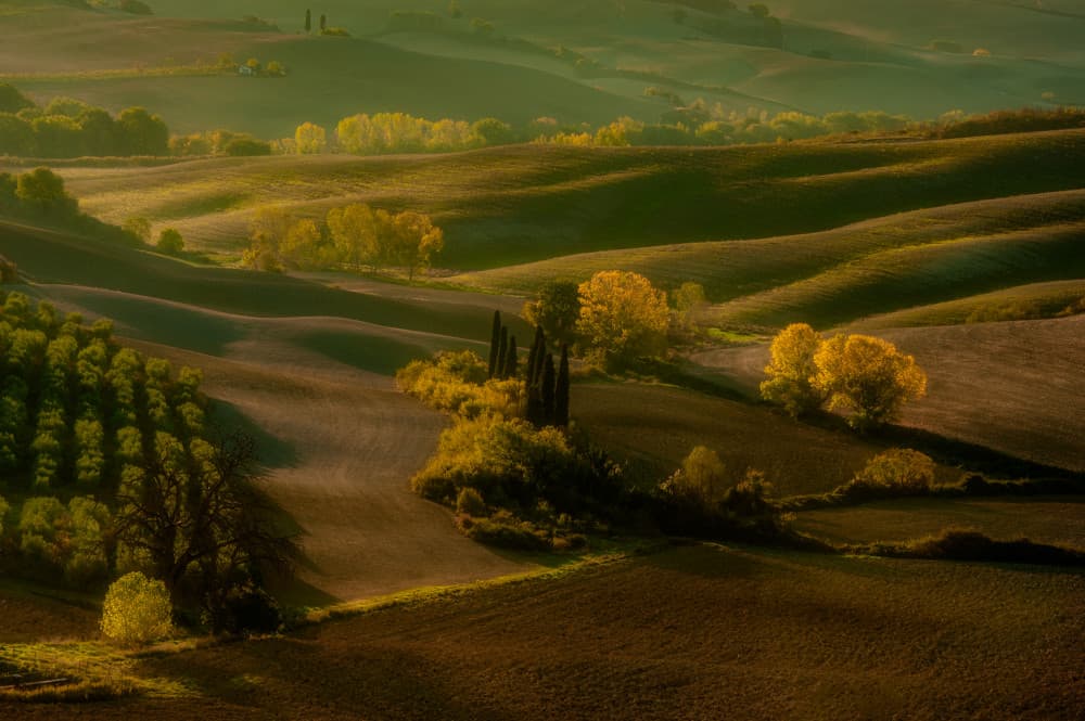 Golden Rolling Hills by Piet Haaksma — canvas wall art