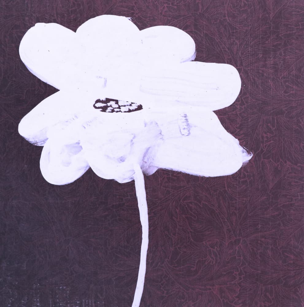 Elegant White Bloom by Santhosh ch — canvas wall art