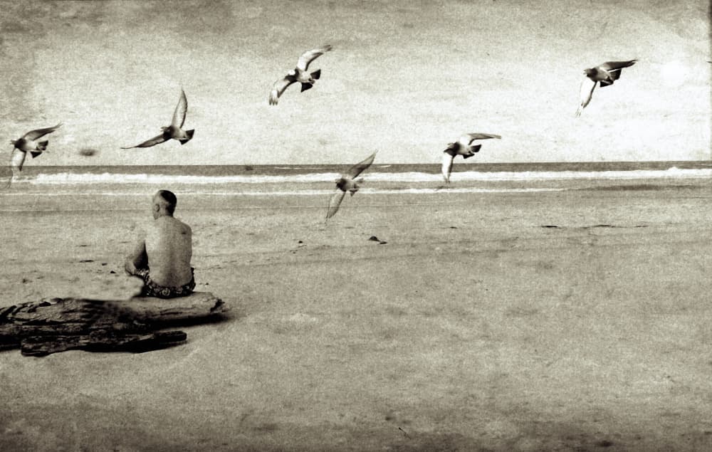 Man and Flying Birds by annehedelin — canvas wall art