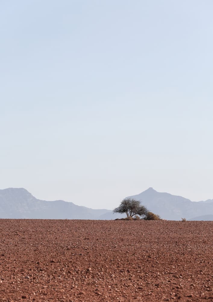 Swart Land by Shot by Clint — canvas wall art