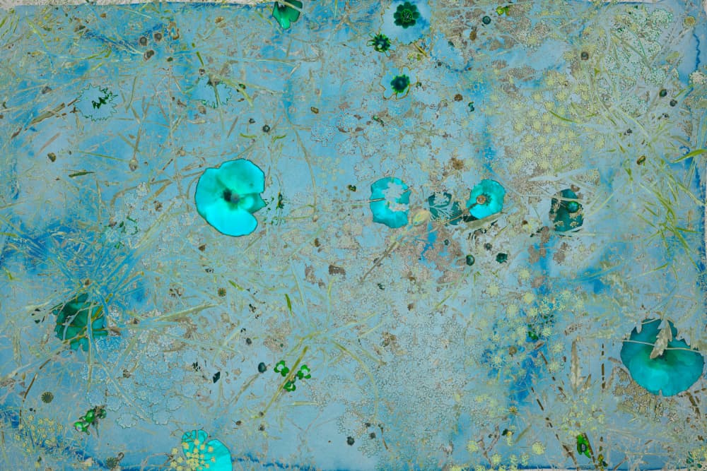 Luminous Water Garden by Miriam Stayte — canvas wall art