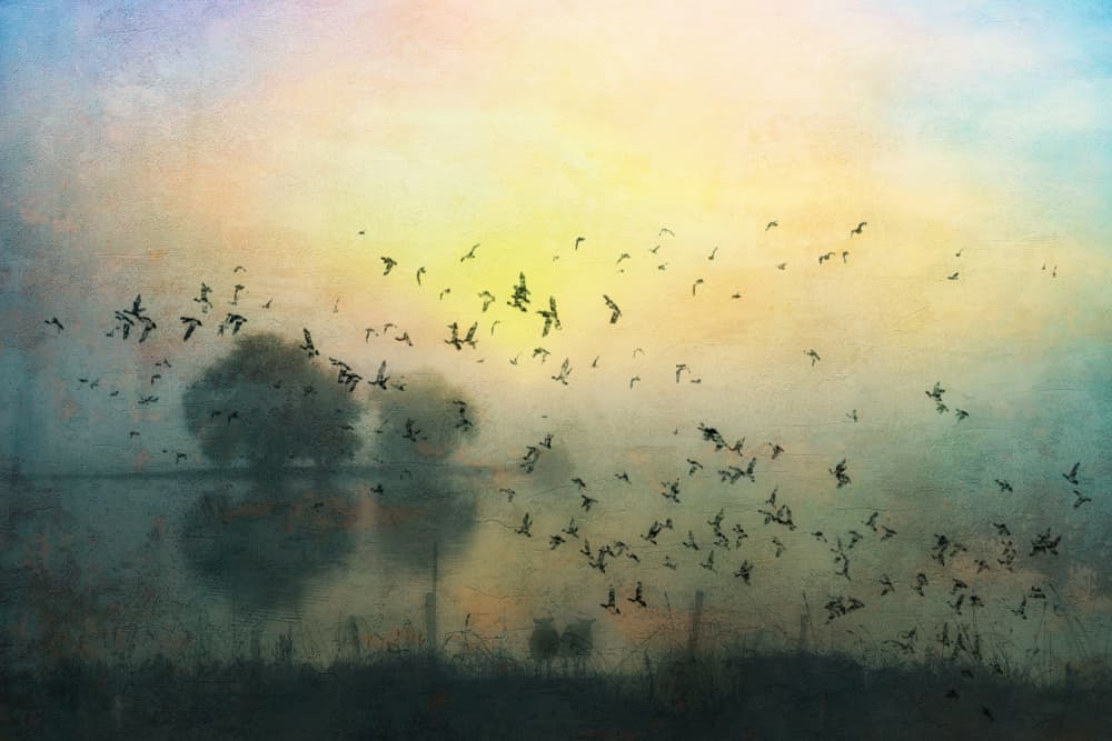 Flying Birds Misty Sunrise by Hilda van der Lee — canvas wall art