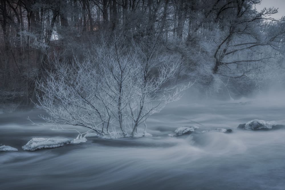 Frosted River Mist by Benny Pettersson — canvas wall art