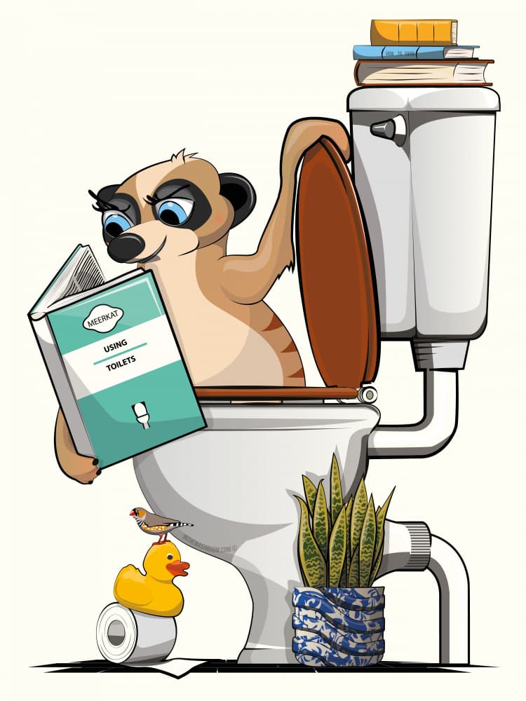 Meerkat Reading Toilet by In The Washroom — canvas wall art