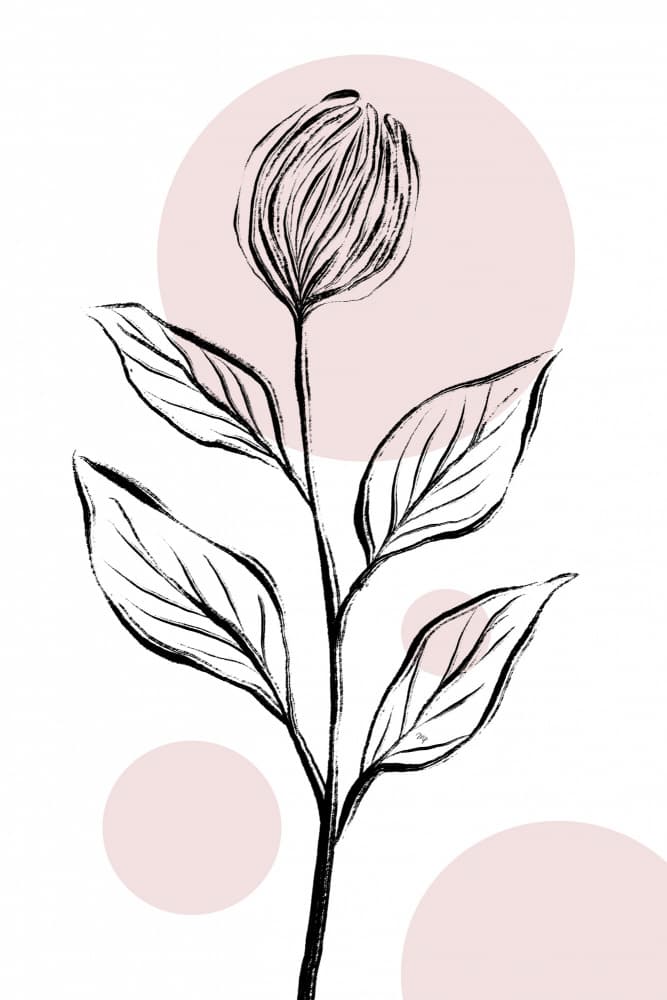 Minimalist Pink Floral Bloom by Martina — canvas wall art
