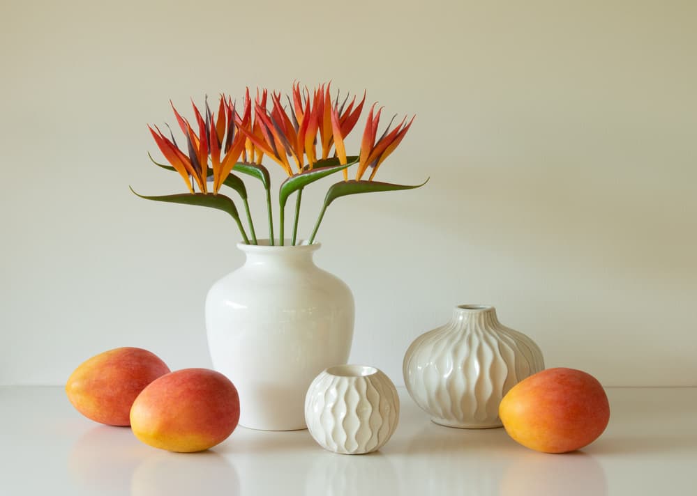 Bird of Paradise and Mangoes by Jacqueline Hammer — canvas wall art