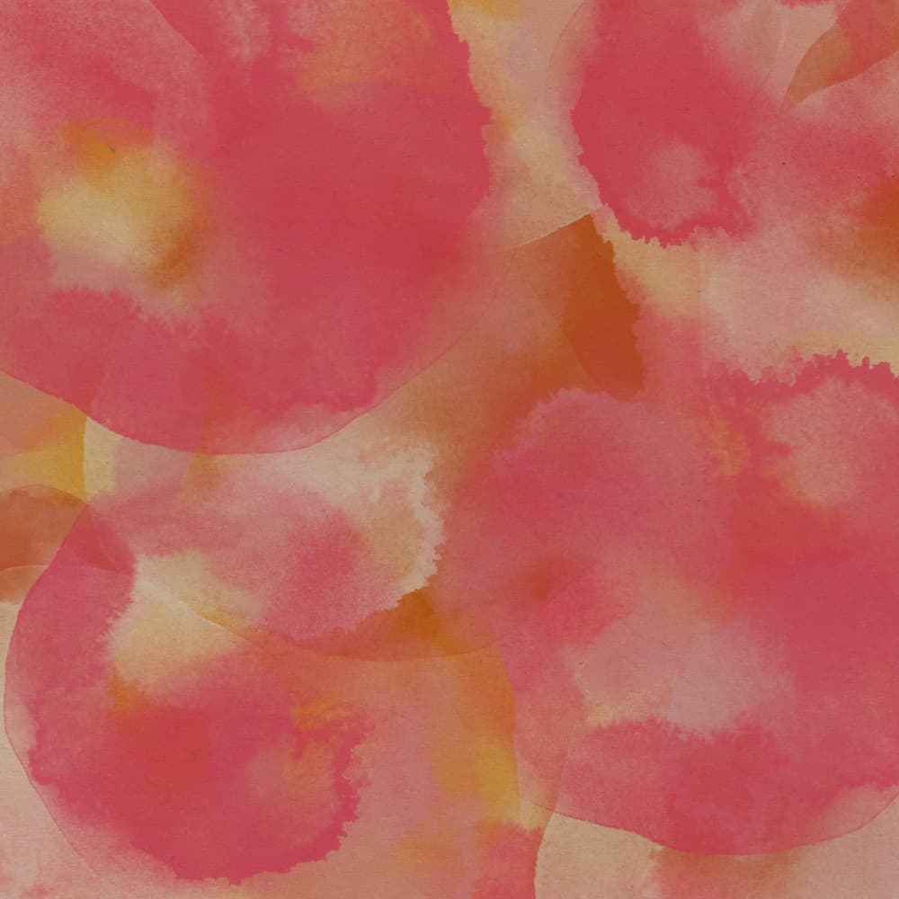 Soft Coral Abstract by Dina Dankers — canvas wall art