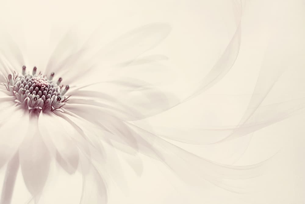 Endless by Jacky Parker — canvas wall art