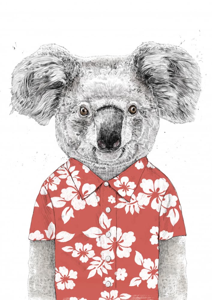 Funny Koala Summer by Balazs Solti — canvas wall art
