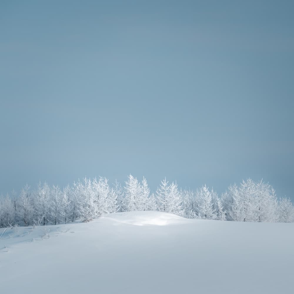 Serene Winter Landscape by Jana Luo — canvas wall art