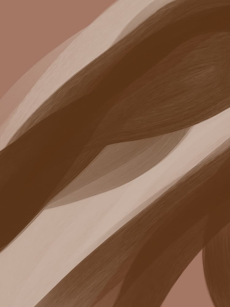 Earthy Fluid Layers by Studio Palette — canvas wall art