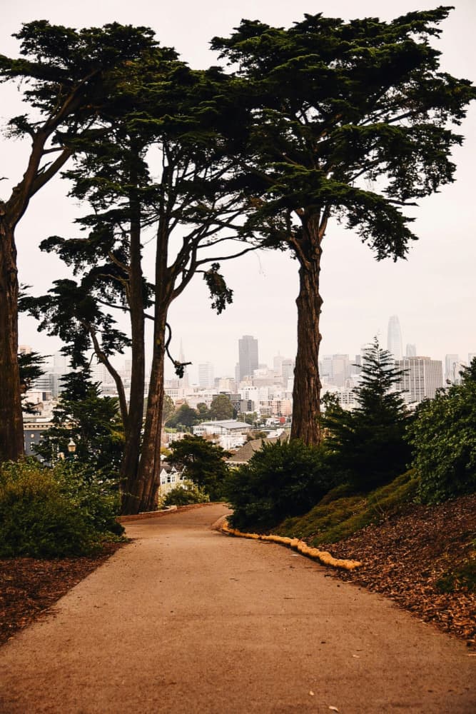San Francisco Park Path by Del Mundo Imagery — canvas wall art