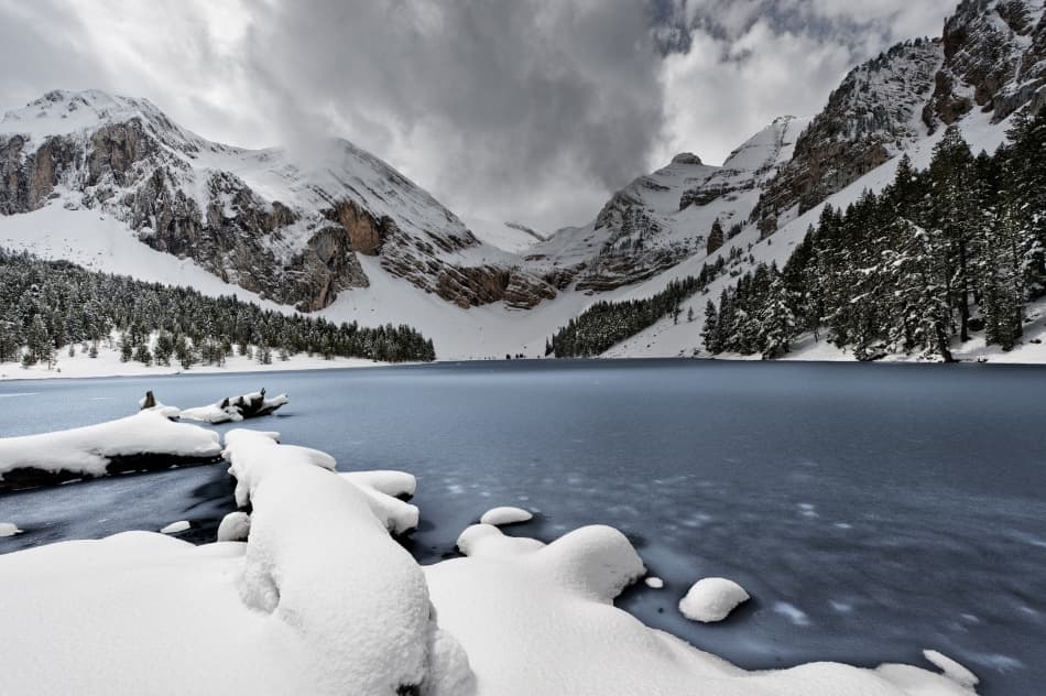 Last snowfall (La Basa la Mora) by David Martin Castan — canvas wall art